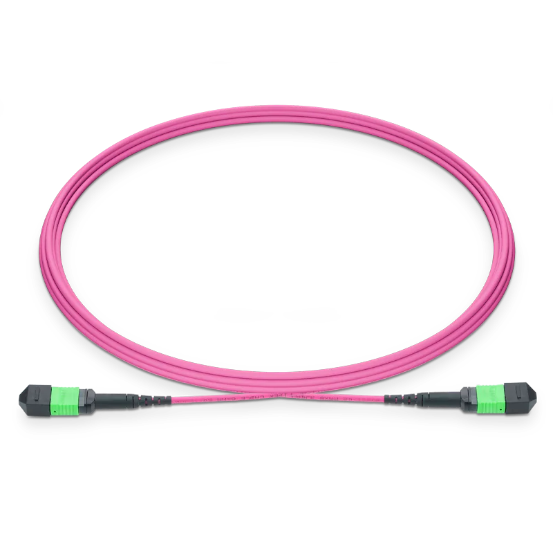 MPO-8 APC (Female) to MPO-8 APC (Female) 8 Fibers Multimode (OM4) Jumper, Type B, LSZH, 3.0mm, Max IL ≤ 0.35dB, Magenta