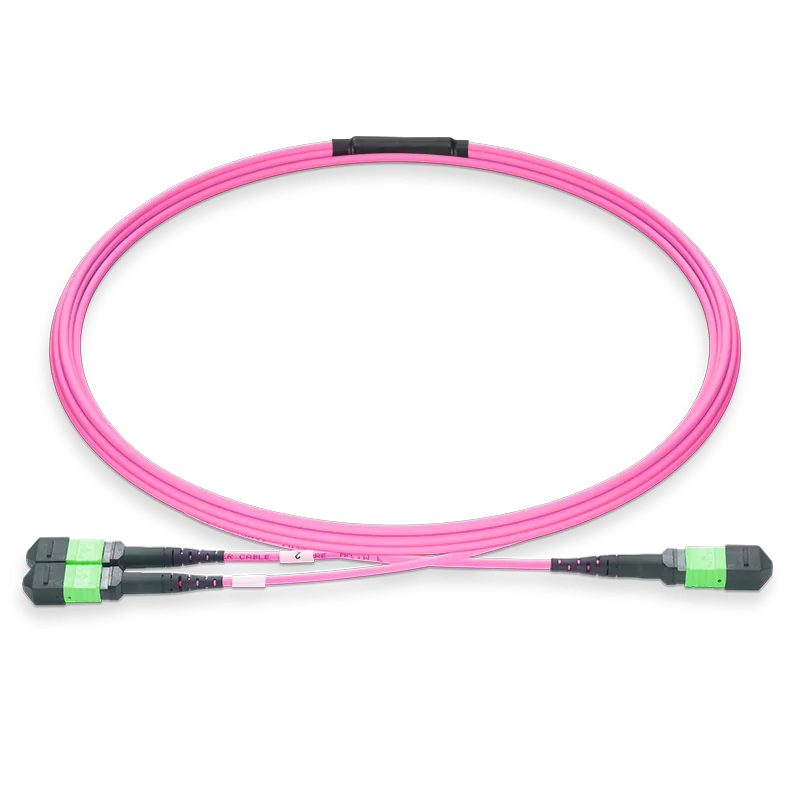 MPO-8 APC (Female) to 2xMPO-4 APC (Female) Multimode (OM4) Breakout, Type B, LSZH, 3.0mm, Max IL ≤ 0.35dB, Magenta